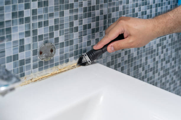 Best Mold Testing  in Rendon, TX