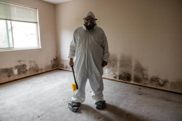 Best Office Mold Removal Services  in Rendon, TX