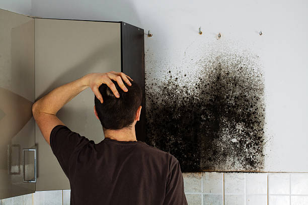 Best Crawl Space Mold Removal  in Rendon, TX
